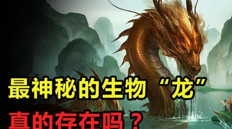 布袋英雄角色深度介绍：揭秘天上四宿与人间龙宿的传奇故事