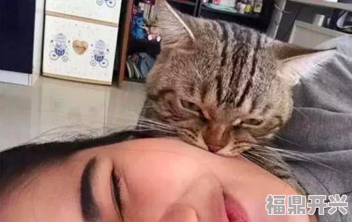 一边亲一边摸下奶小明在家养了一只可爱的猫咪，每天都和它玩耍互动